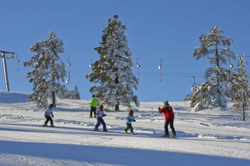 Vrådal Panorama Vradal Exterior foto
