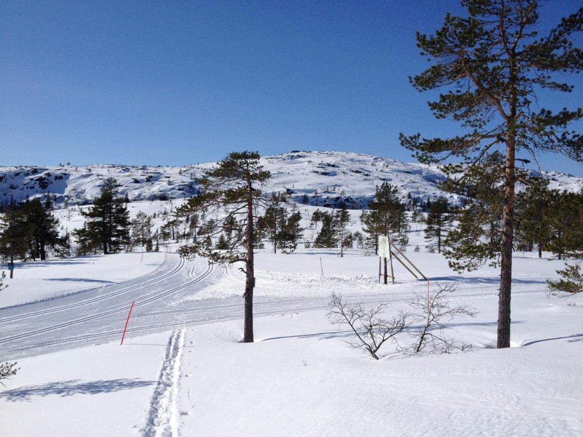Vrådal Panorama Vradal Exterior foto